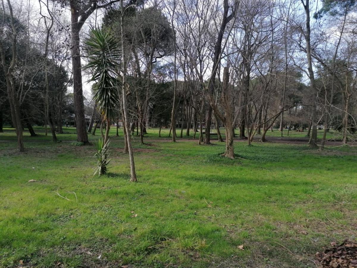 La Casina Giramondo Di Ele Viareggio Buitenkant foto